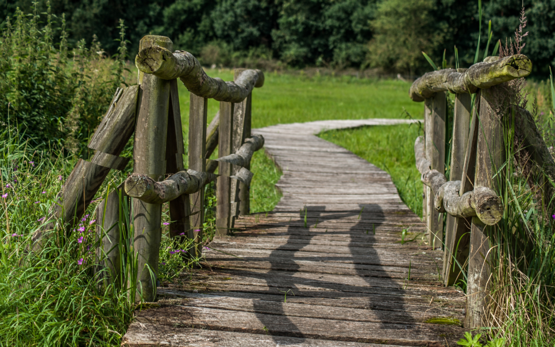 „Sell in May and go away“ – warum Sie dieses Sprichwort auf den Holzweg führt.