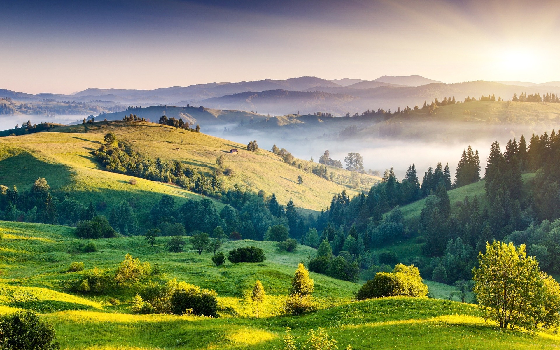 Landschaft
